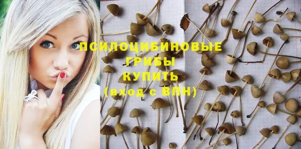 МДПВ Краснотурьинск