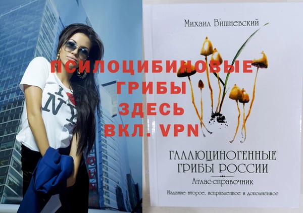 мдпв Красноперекопск