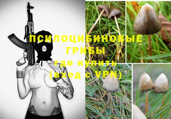 МДПВ Краснотурьинск