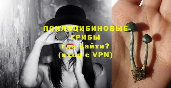 МДПВ Краснотурьинск