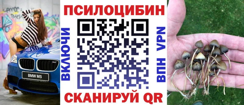 Галлюциногенные грибы ЛСД  Купить закладки  Новомосковск 